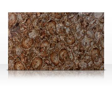 Manufacturers Exporters and Wholesale Suppliers of Brown Petrifed Wood Slab Ajmer Rajasthan Brown Petrifed Wood Slab
